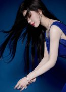 本年第一季度和第二